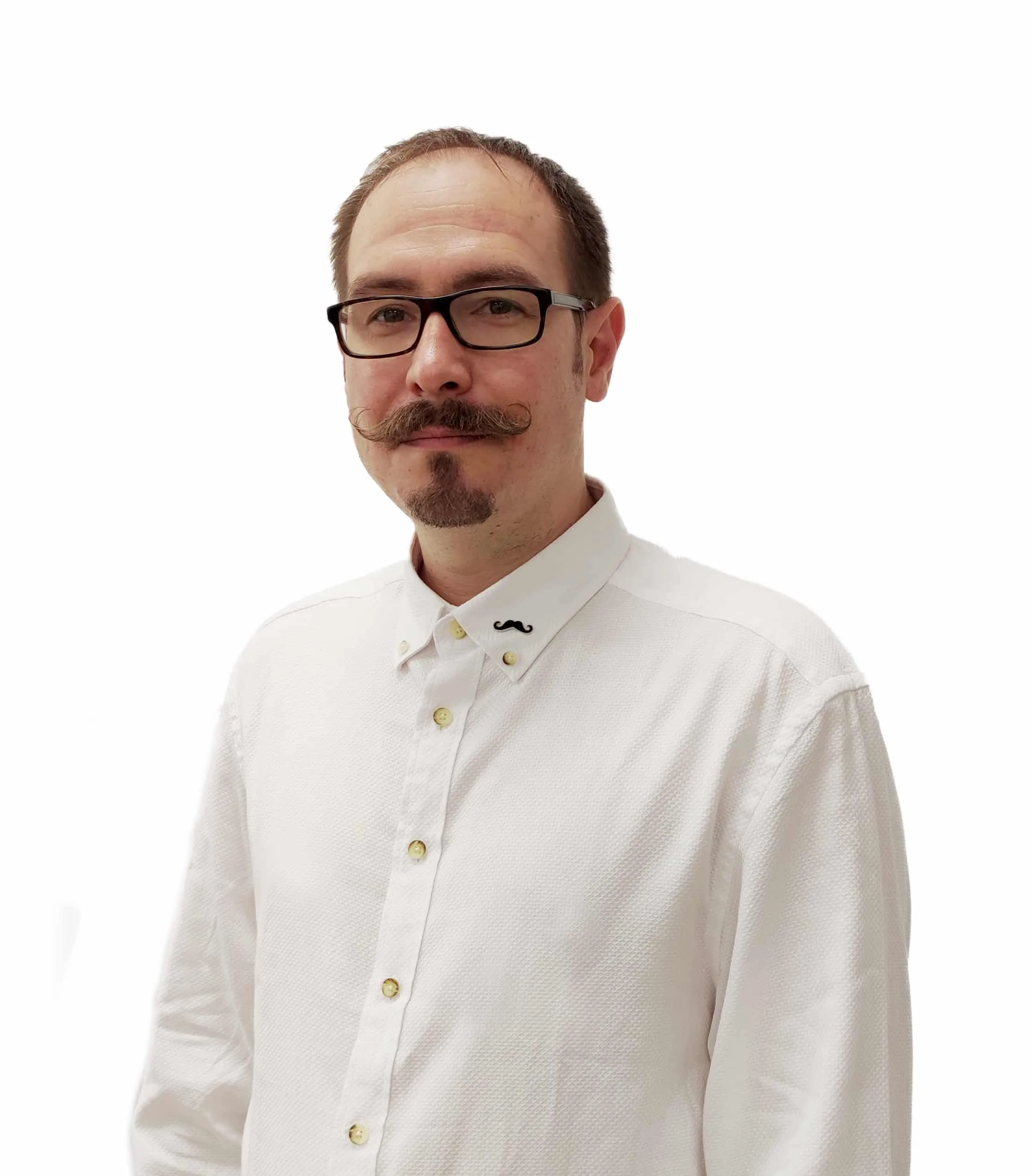 Alex Gitelzon